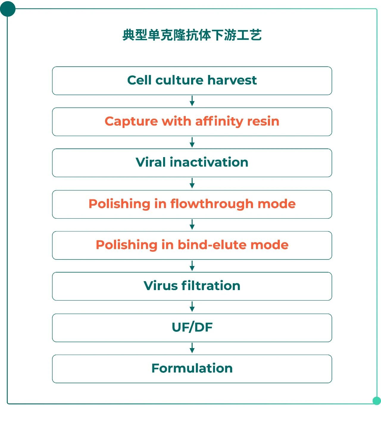 Column Chromatography-pic-01